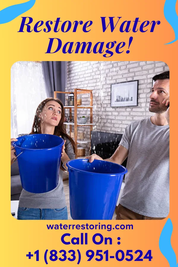 water restoration United Water Mitigation Group Casnovia