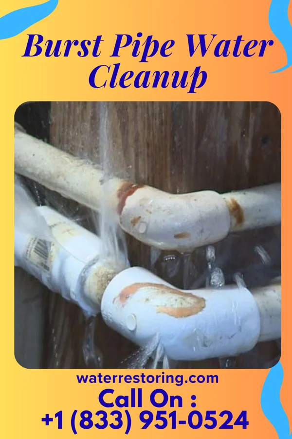 Burst Pipe Water Cleanup in Casnovia, MI