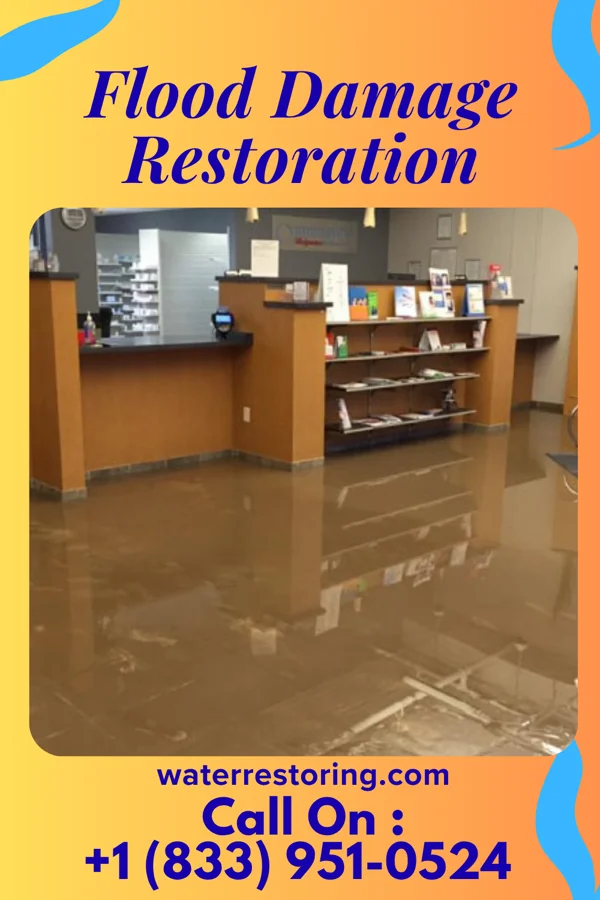 Flood Damage Restoration in Casnovia, MI