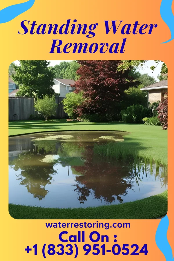Standing Water Removal in Casnovia, MI